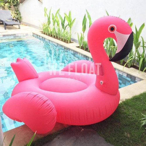 Big-Beak-Flamingo-WeFloatBali
