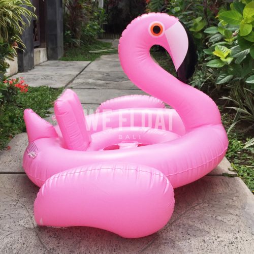 baby-flamingo-1-wefloatbali